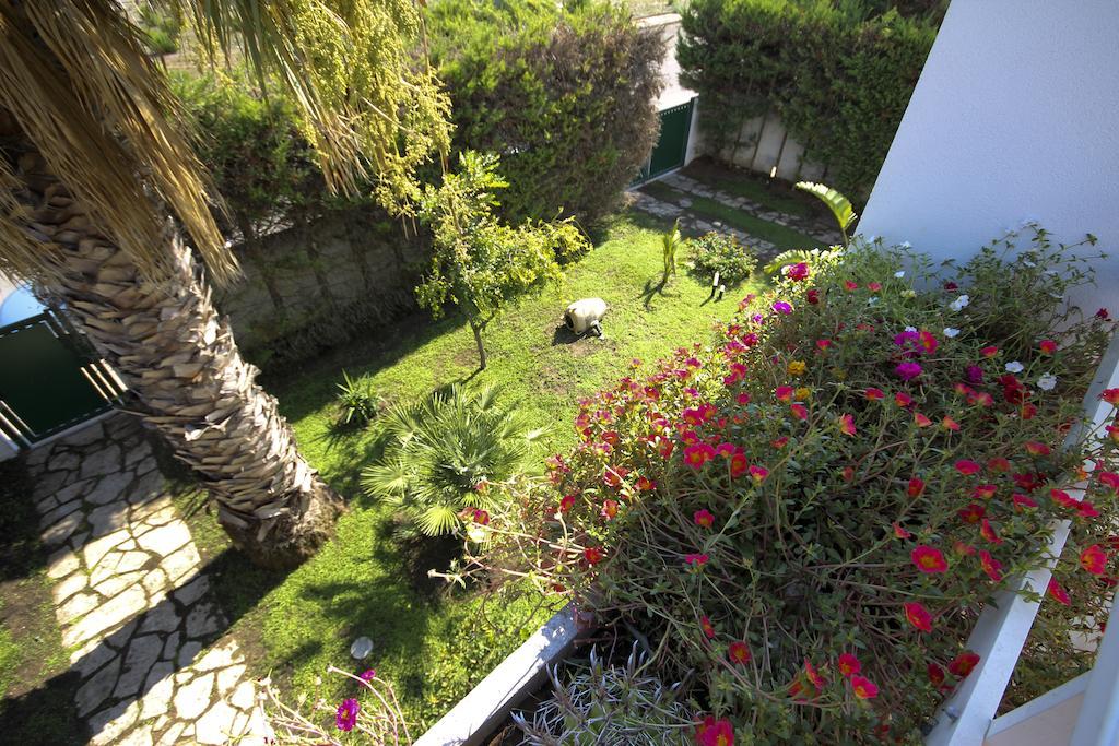 B&B Villa Genny A Pochi Passi Dal Mare San Cataldo  Szoba fotó