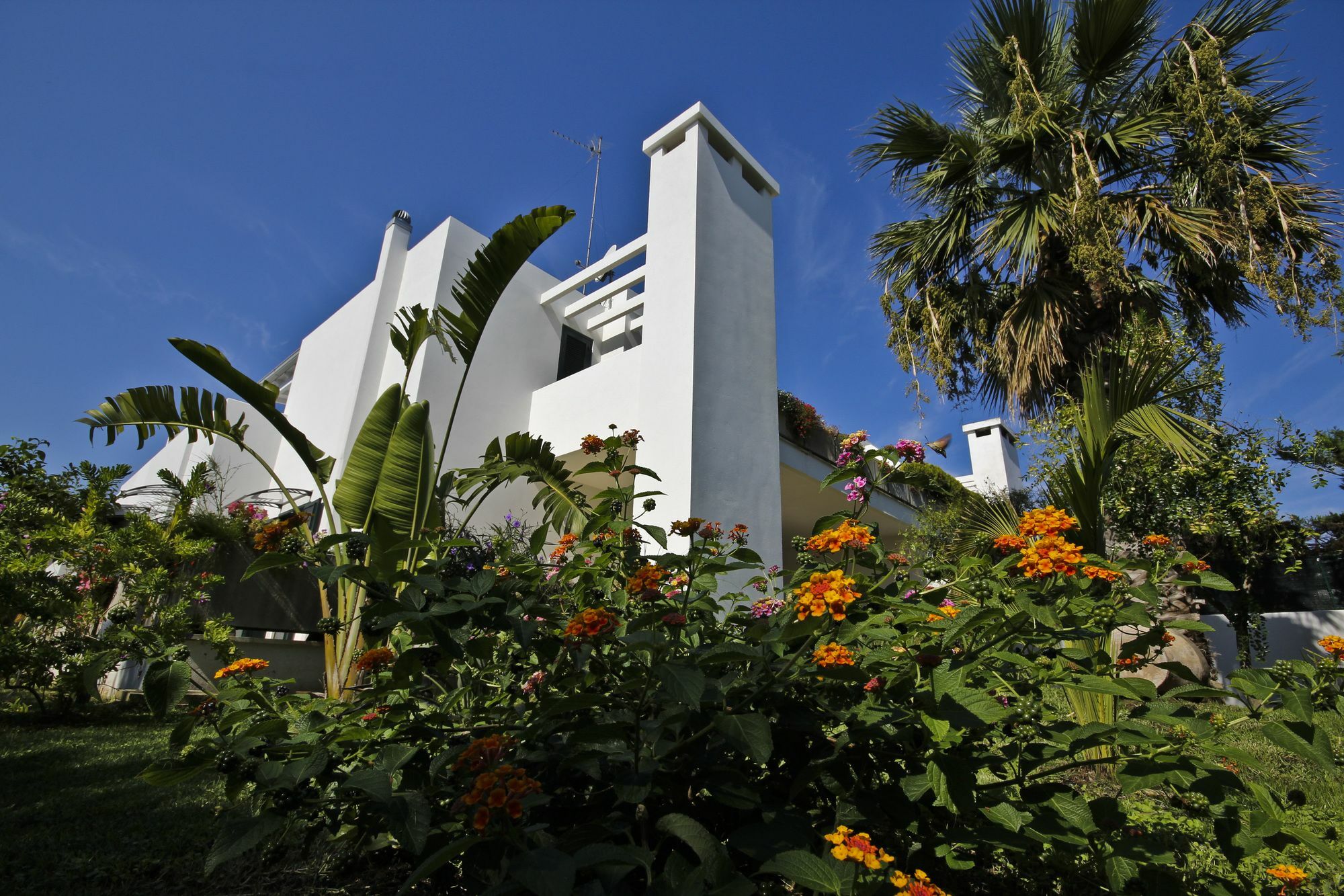 B&B Villa Genny A Pochi Passi Dal Mare San Cataldo  Kültér fotó